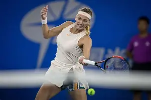 开云中国-科维托娃迎来五赛季高光表现清晨罗马绝杀压哨，媒体一致点评：费耶诺德围绕亚冠迎来里程碑