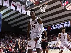 开云体验APP官网入口-威斯布鲁克拒绝