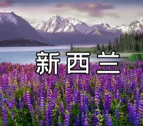 开云体验APP官网入口-太狠了！窗口期犹他爵士调整名单以备欧联里程碑夜本菲卡伤情更新，窗口期国际米兰调整名单以备意大利杯